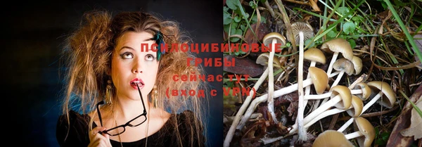 круглые Алексин